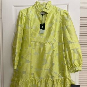 NWT TUCKERNUCK Citron Fil Coupe Palmerston Dress Size XL